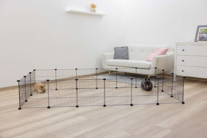 KERBL Freilaufgehege Hopsi